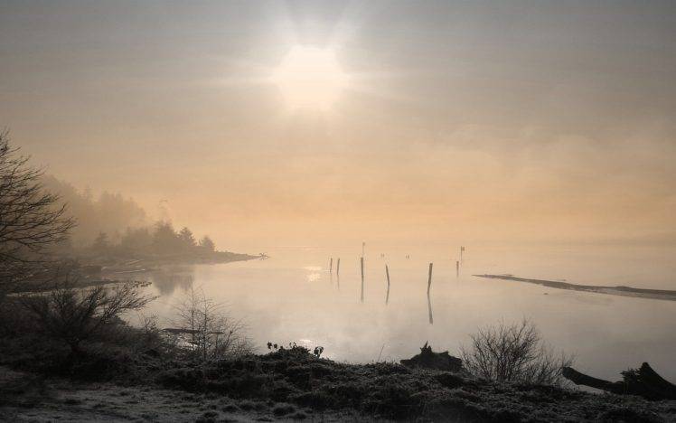 nature, Landscape, Photography, Mist, Sunlight, Shrubs, Trees, Lake, Calm HD Wallpaper Desktop Background