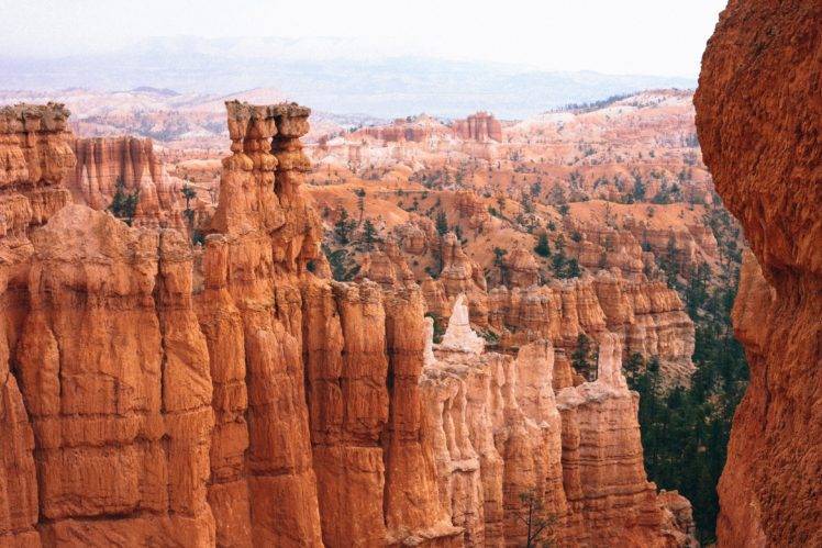nature, Trees, Bryce Canyon National Park HD Wallpaper Desktop Background