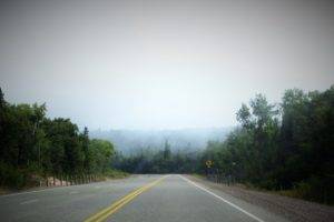road, Canada, Roadtrip, Trees, Forest, POV