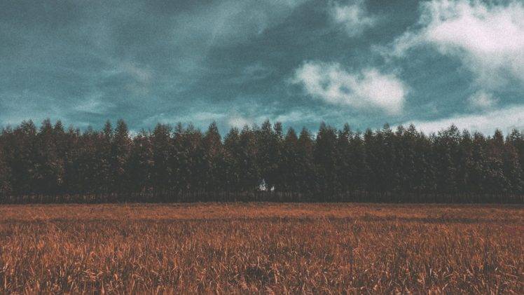 plains, Forest, Field, Trees, Clouds, Landscape HD Wallpaper Desktop Background