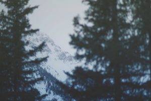 spruce, Snow, Mountains, Sky, Calm