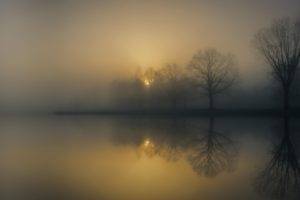 photography, Nature, Landscape, Morning, Mist, Trees, Reflection, Lake, Sunlight, Calm