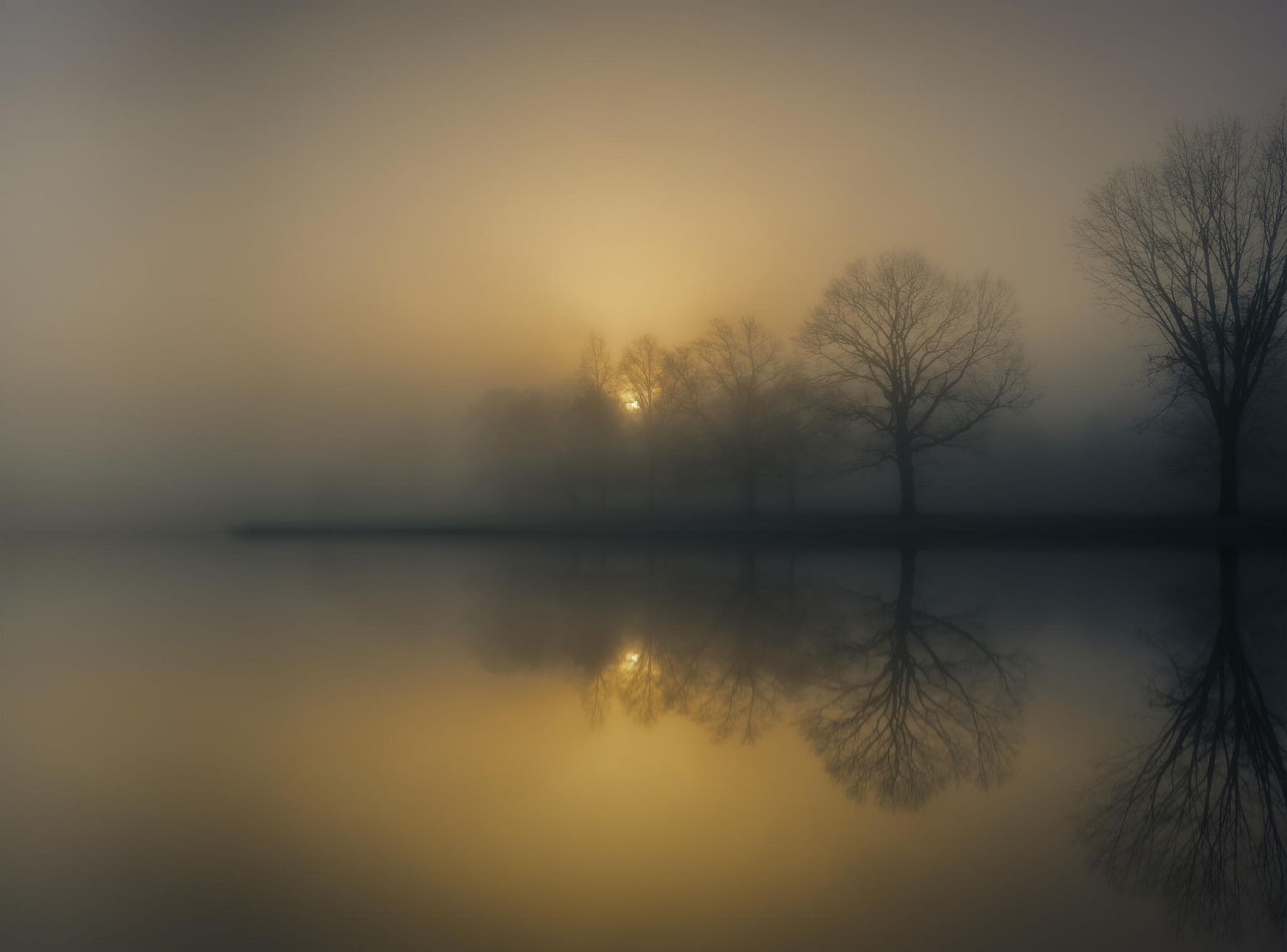 photography, Nature, Landscape, Morning, Mist, Trees, Reflection, Lake, Sunlight, Calm Wallpaper