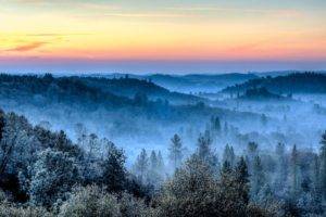 photography, Nature, Landscape, Morning, Mist, Winter, Forest, Hills, Daylight, Trees, Cold, California