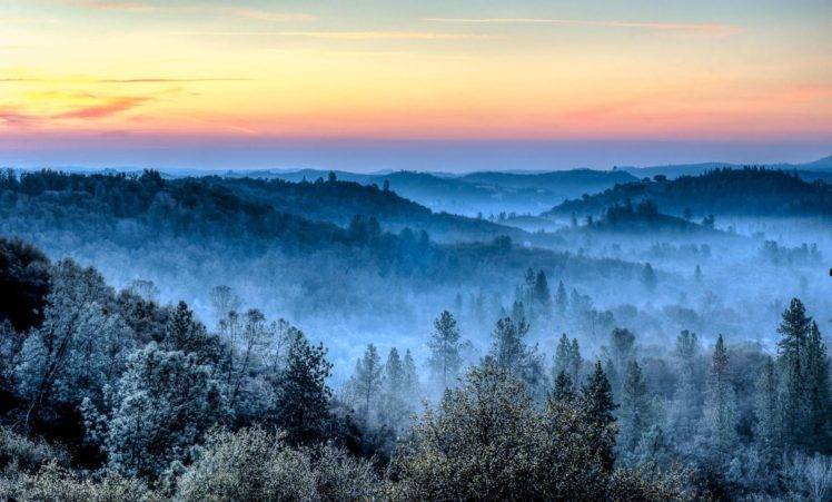 photography, Nature, Landscape, Morning, Mist, Winter, Forest, Hills, Daylight, Trees, Cold, California HD Wallpaper Desktop Background