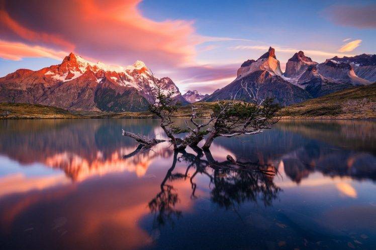 photography, Nature, Landscape, Morning, Sunlight, Calm, Mountains, Snowy peak, Lake, Reflection, Trees, Torres del Paine, Chile HD Wallpaper Desktop Background