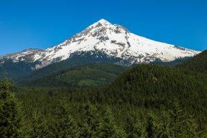 photography, Nature, Landscape, Snowy peak, Blue, Sky, Forest, Pine trees, Mount Hood, Oregon, Mountains