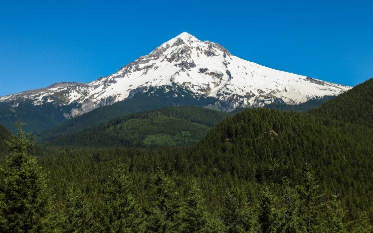 photography, Nature, Landscape, Snowy peak, Blue, Sky, Forest, Pine trees, Mount Hood, Oregon, Mountains HD Wallpaper Desktop Background