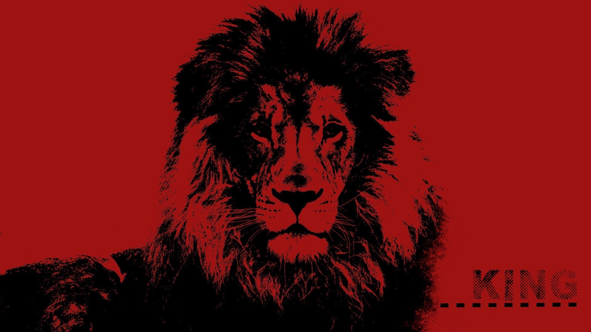 lion, Animals, Pop art Wallpaper