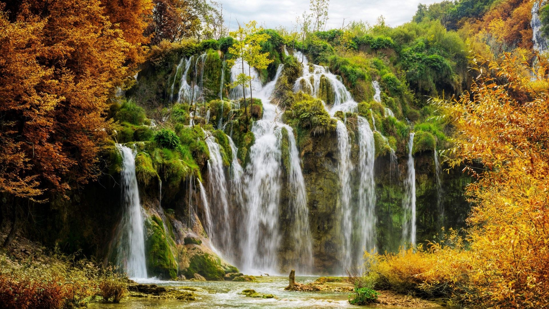 waterfall, Forest Wallpaper