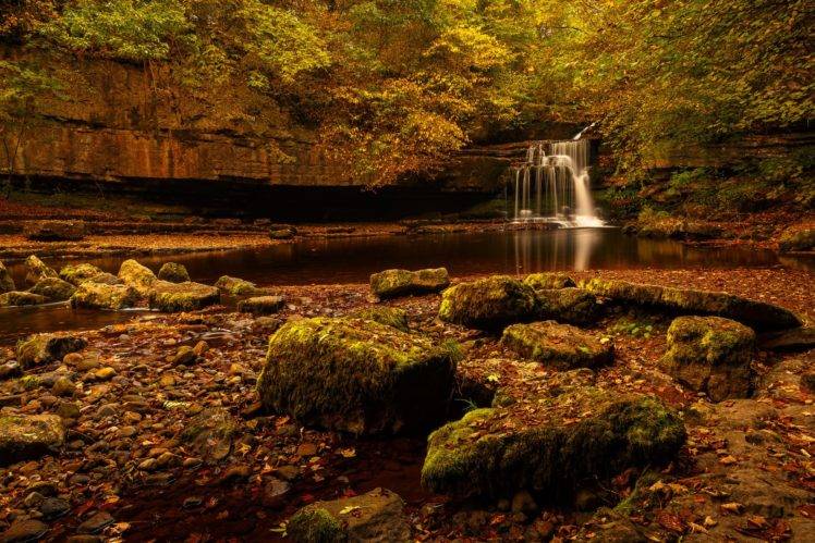 waterfall, Fall, Forest, Nature, Landscape, Stones, Water HD Wallpaper Desktop Background