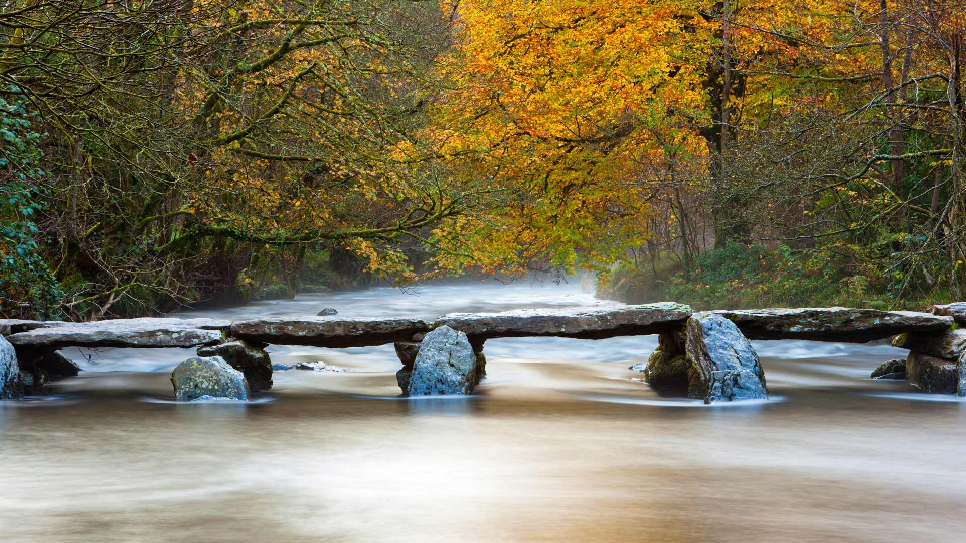 nature, Landscape, Trees, Forest, Bridge, Tarr Steps, England, UK, Stream, Water, Fall, Long exposure, River, Stones, Branch Wallpaper
