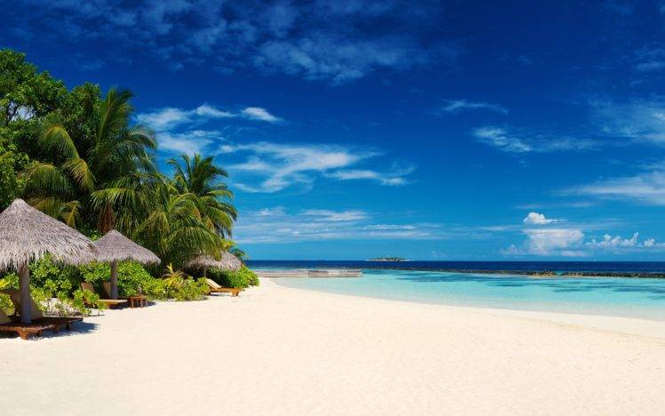 summer, Beach, Palm trees HD Wallpaper Desktop Background