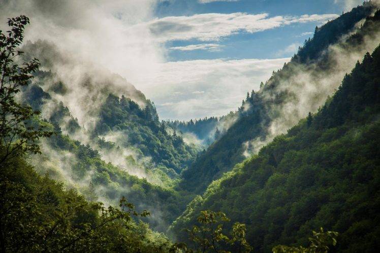 nature, Photography, Landscape, Mountains, Sunlight, Forest, Mist, Spring, Bulgaria HD Wallpaper Desktop Background