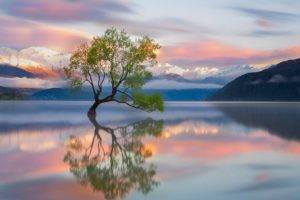 photography, Nature, Landscape, Trees, Mountains, Snowy peak, Lake Wanaka, Reflection, Sunrise, New Zealand, Calm waters