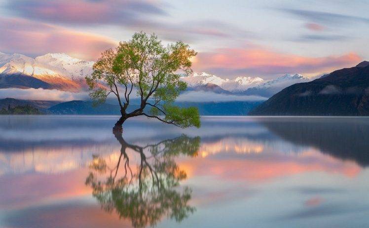 photography, Nature, Landscape, Trees, Mountains, Snowy peak, Lake Wanaka, Reflection, Sunrise, New Zealand, Calm waters HD Wallpaper Desktop Background