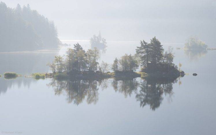 nature, Photography, Landscape, Lake, Trees, Mist, Calm waters, Reflection, Island, Daylight HD Wallpaper Desktop Background