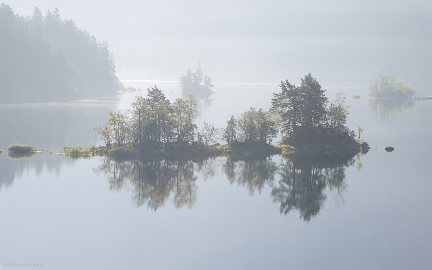 nature, Photography, Landscape, Lake, Trees, Mist, Calm waters, Reflection, Island, Daylight Wallpaper