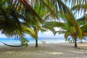 nature, Photography, Landscape, Beach, Palm trees, Sand, Tropical, Island, Sea, Morning, Sunlight, Hammocks, Panama