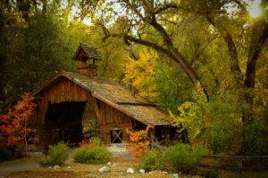 nature, Photography, Landscape, Barn, Hut, Forest, Fence, Fall, Shrubs, Trees