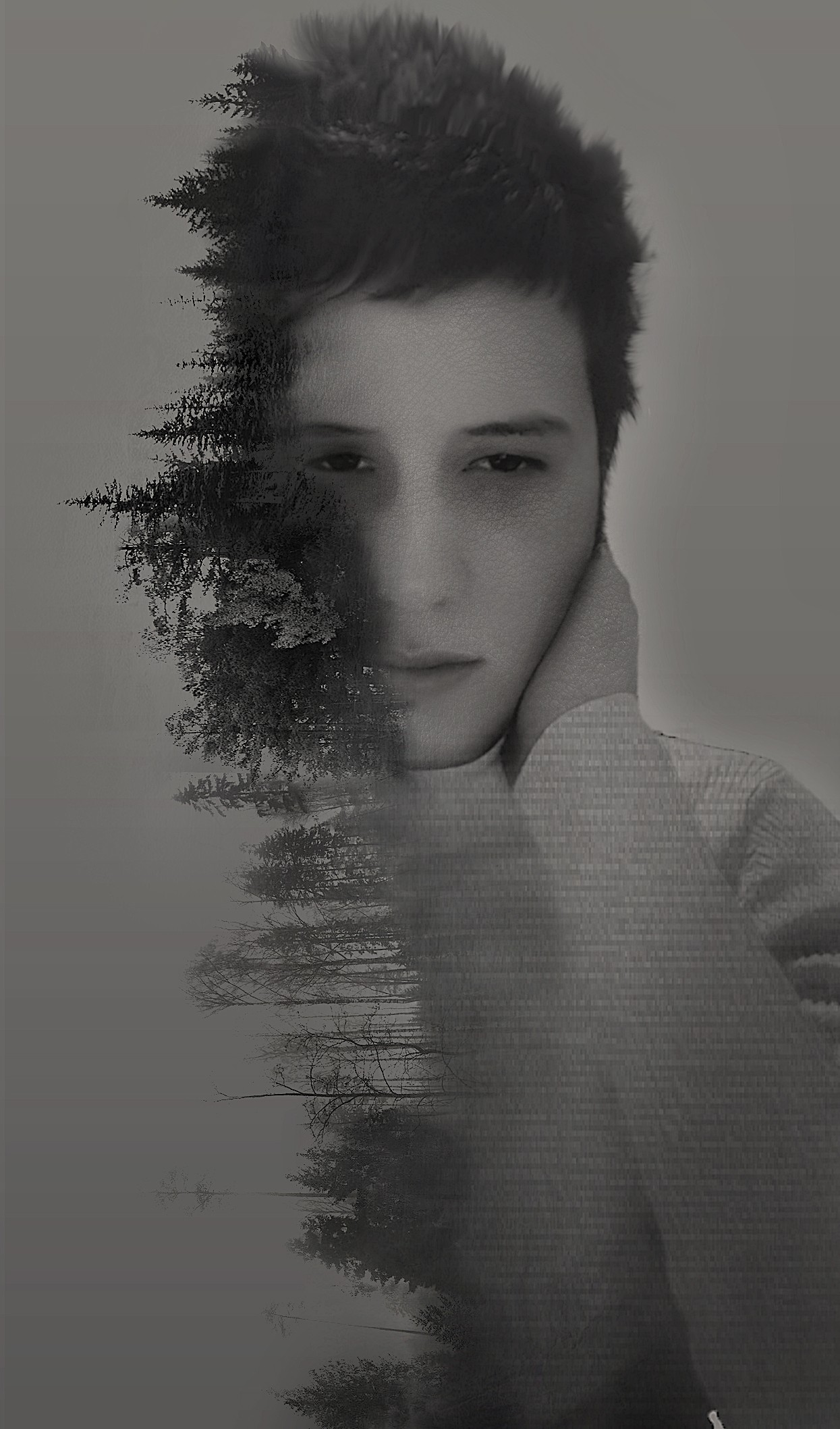 forest, Adobe Photoshop Wallpaper