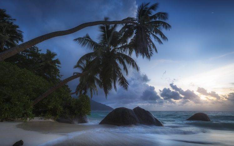 beach, Palm trees, Clouds HD Wallpaper Desktop Background