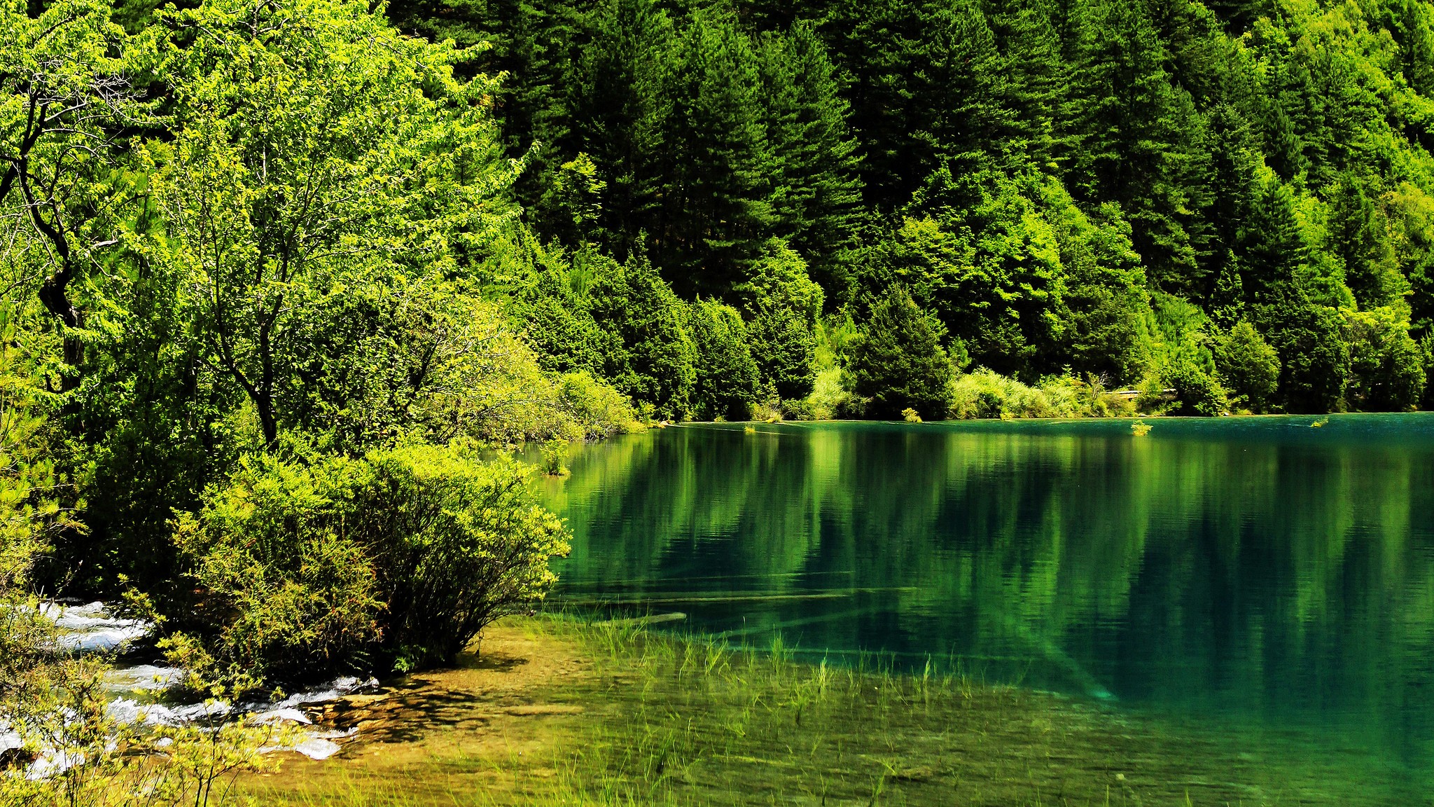зеленоватое озеро скачать
