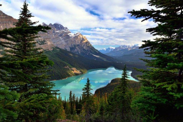 plants, Landscape, Water, Lake, Forest, Canada, Banff National Park HD Wallpaper Desktop Background