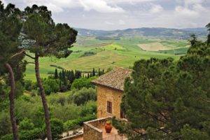 plants, Trees, Landscape, Tuscany, Italy