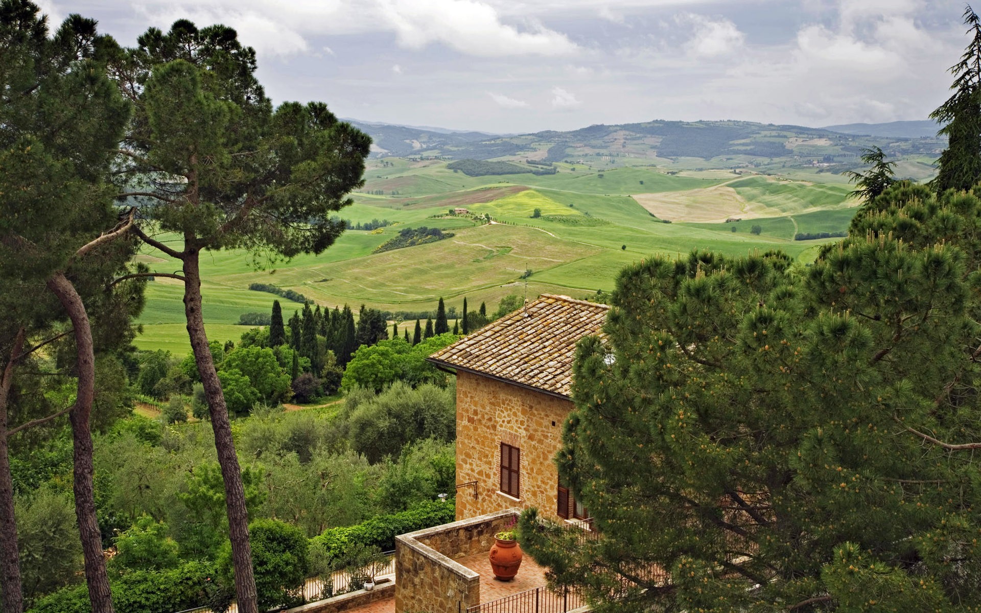 plants, Trees, Landscape, Tuscany, Italy Wallpaper