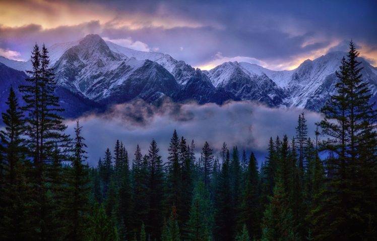 photography, Nature, Landscape, Snowy peak, Mountains, Forest, Mist, Clouds, Sunlight, Pine trees, Sunrise, Banff National Park, Canada HD Wallpaper Desktop Background
