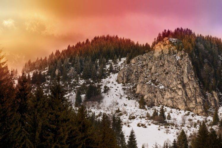 landscape, Snow, Pine trees HD Wallpaper Desktop Background