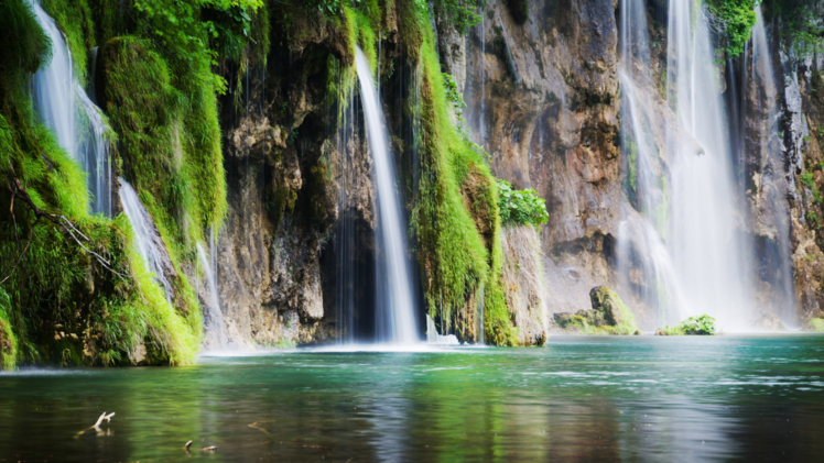 nature, Water, Green, Grass HD Wallpaper Desktop Background