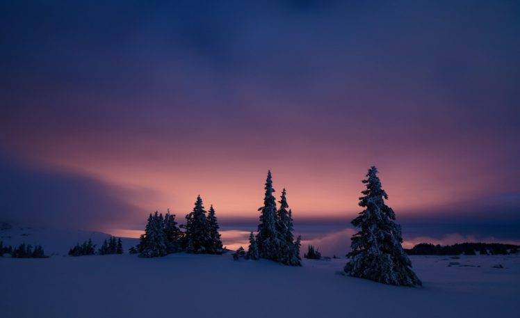 trees, Landscape, Snow HD Wallpaper Desktop Background