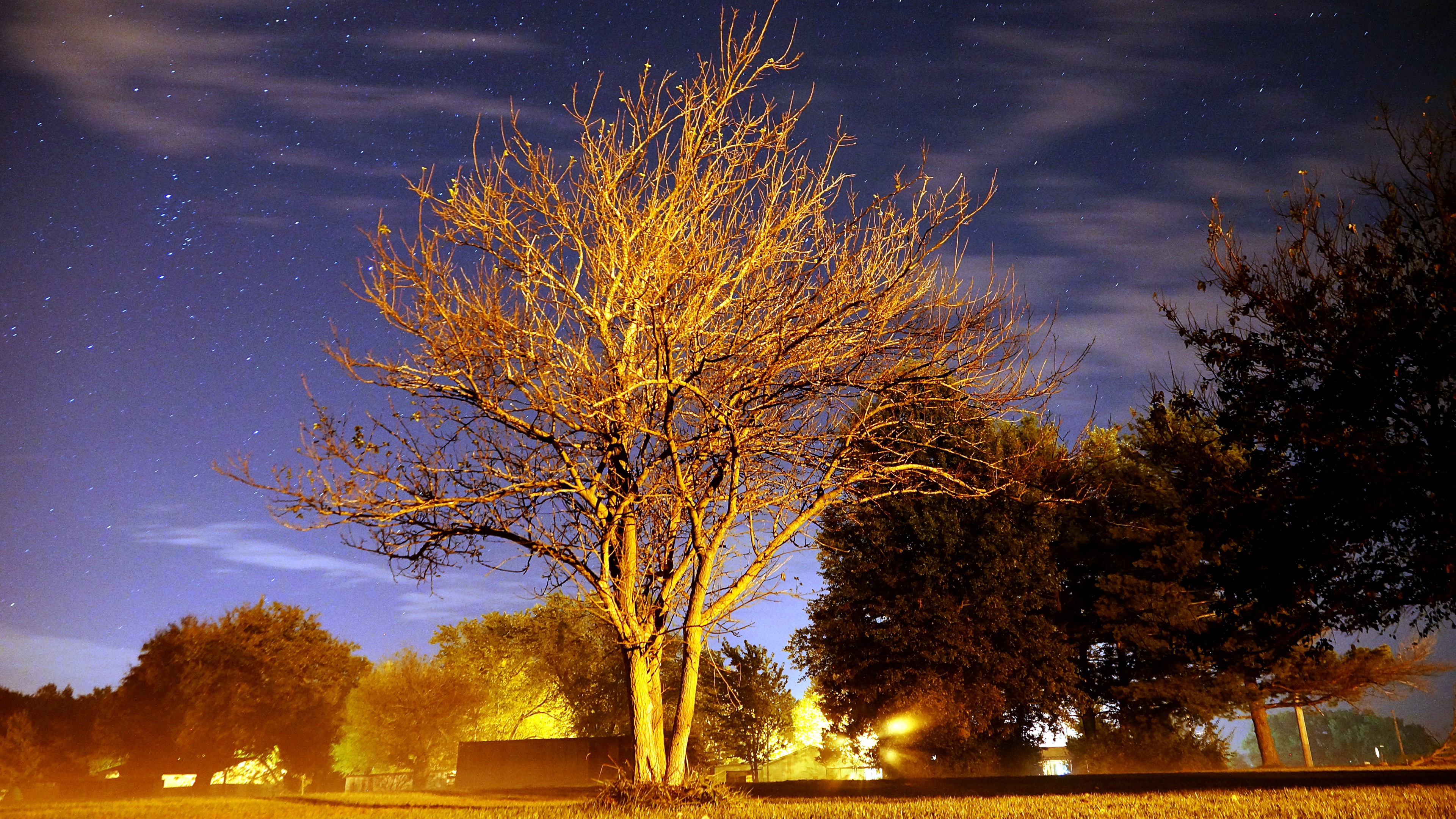 landscape, Trees, Long exposure, Night Wallpaper