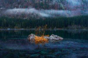 lake, Rocks, Forest, Mist, Water