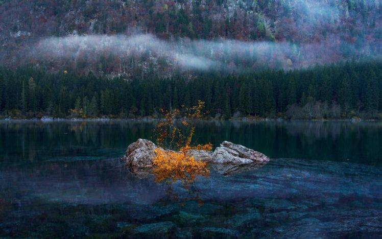 lake, Rocks, Forest, Mist, Water HD Wallpaper Desktop Background