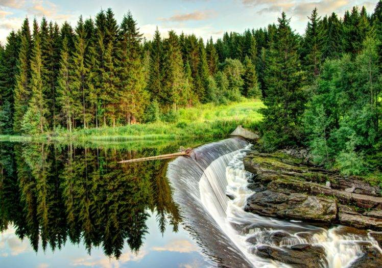 landscape, Forest, River, Water, Pine trees HD Wallpaper Desktop Background