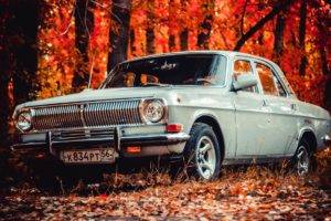 car, Vehicle, Nature, Fall, Leaves, Trees, Russian cars, GAZ 24 Volga, Volga, Forest, Vintage