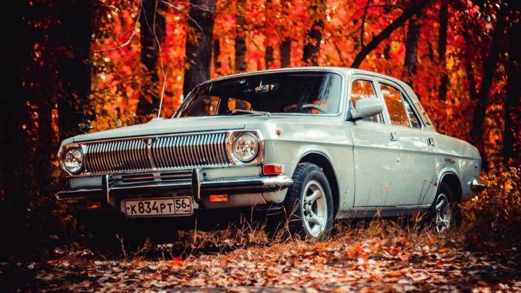 car, Vehicle, Nature, Fall, Leaves, Trees, Russian cars, GAZ 24 Volga, Volga, Forest, Vintage HD Wallpaper Desktop Background