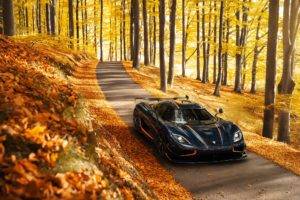 car, Vehicle, Nature, Fall, Leaves, Trees, Koenigsegg, Koenigsegg Agera, Road, Forest, Sunlight, Supercars, Sports car