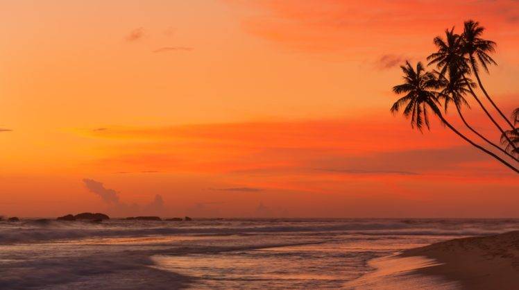 landscape, Sea, Palm trees, Tropical HD Wallpaper Desktop Background