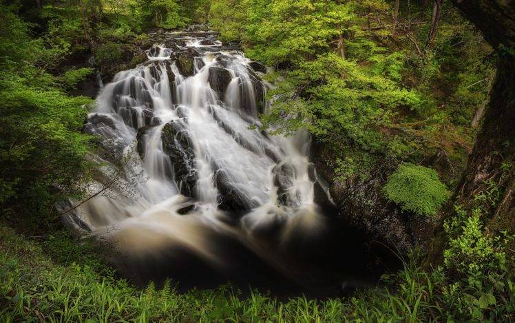 landscape, Forest, River, Waterfall HD Wallpaper Desktop Background