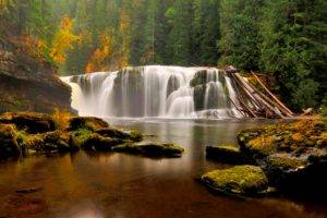 landscape, Forest, River, Waterfall