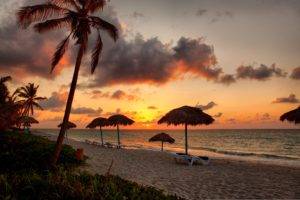sea, Beach, Palm trees, Tropical, Sun