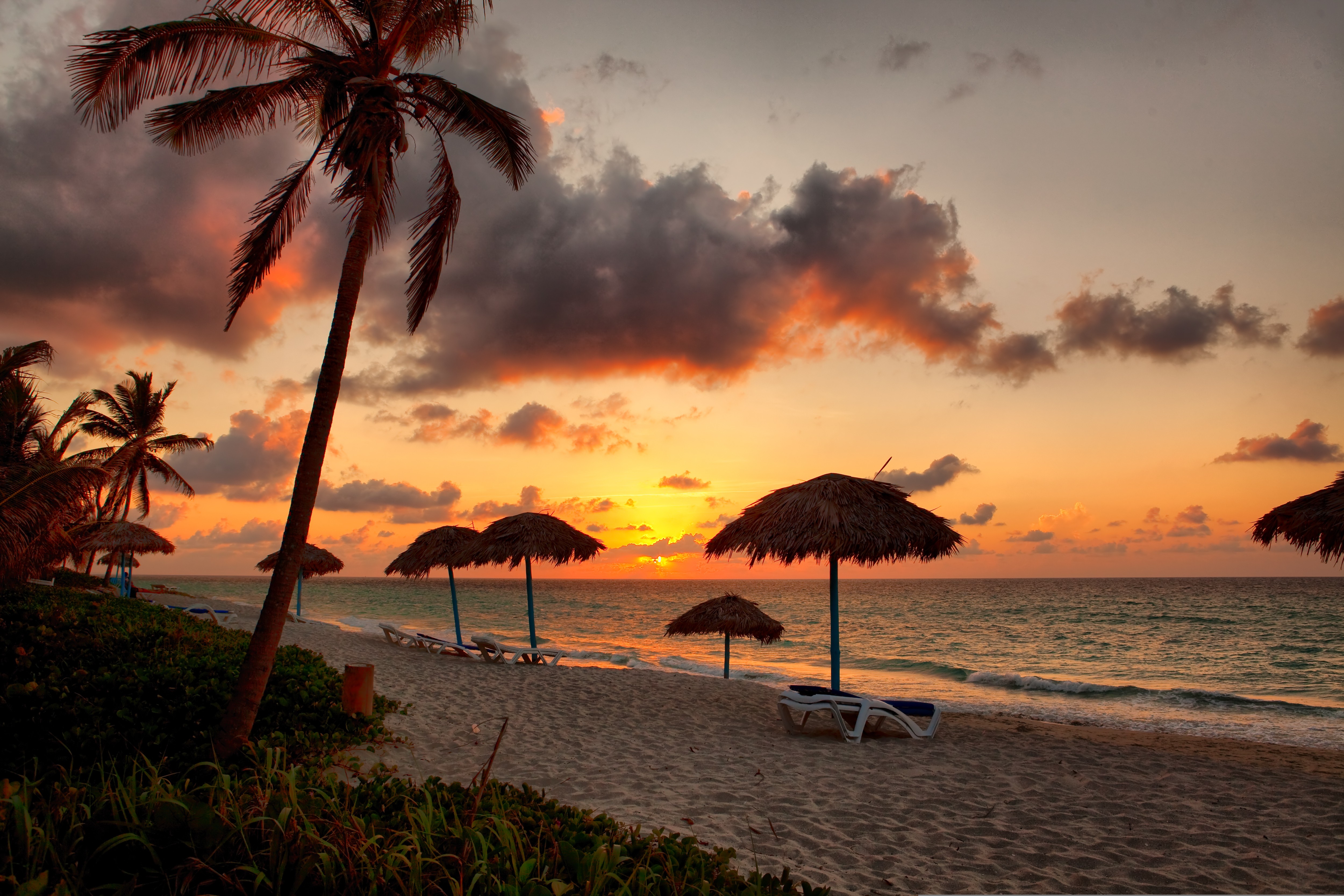 sea, Beach, Palm trees, Tropical, Sun Wallpaper