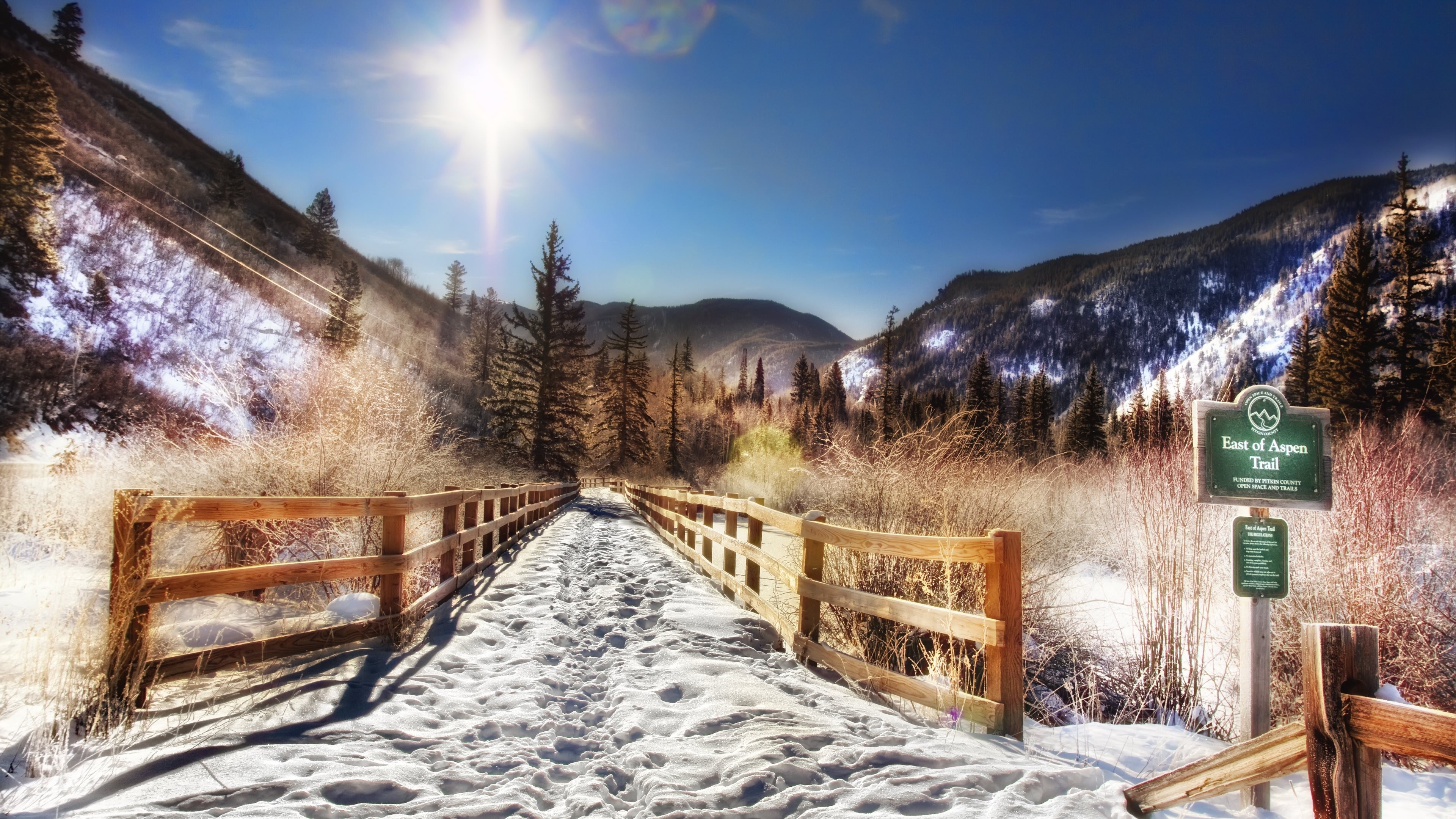 forest, Trees, Sunlight, Snow, Mountains, Fence, Colorado Wallpaper