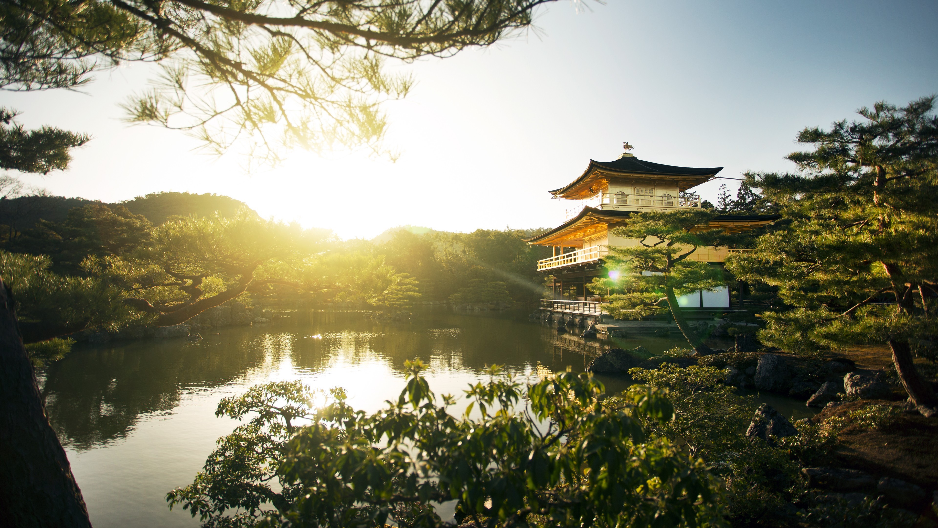Asian, Sunset, Trees Wallpaper