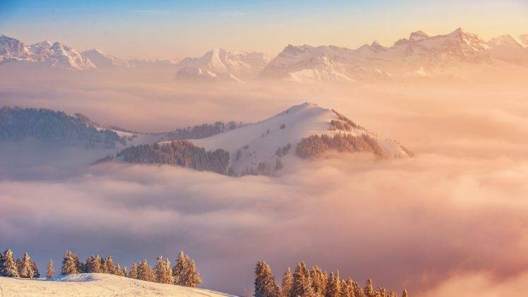 snow, Mountains, Forest, Landscape HD Wallpaper Desktop Background