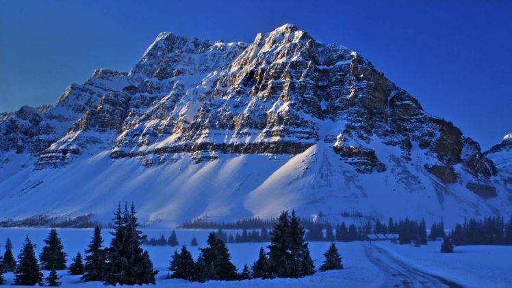 snow, Mountains, Forest HD Wallpaper Desktop Background